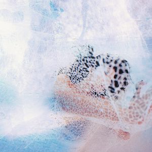 舌L伦亲子伦视频
